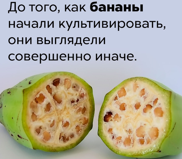 Варенье из бананов на зиму. Рецепт пошагово