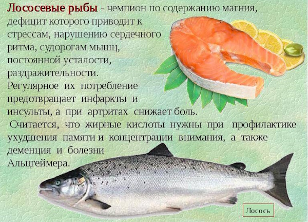 Уха из головы семги. Рецепт с фото пошагово