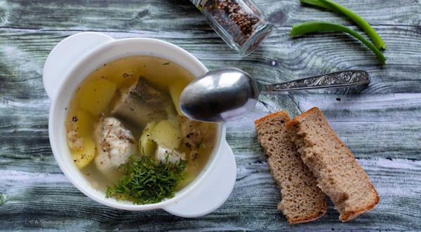 Уха из судака. Вкусные рецепты с фото пошарово