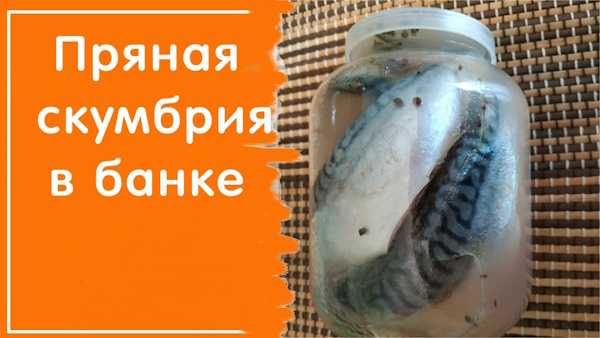 Как вкусно засолить скумбрию в домашних условиях